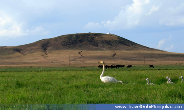 Altan-Ovoo-view - Travel Gobi Mongolia 