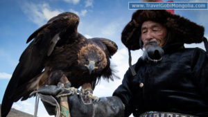 a kazakh man holding his eagle on the hand