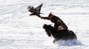 a kazakh man is riding his horse while he holding his eagle in the right arm