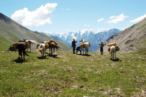 horse trek in Altai Tavan Bogd National Park