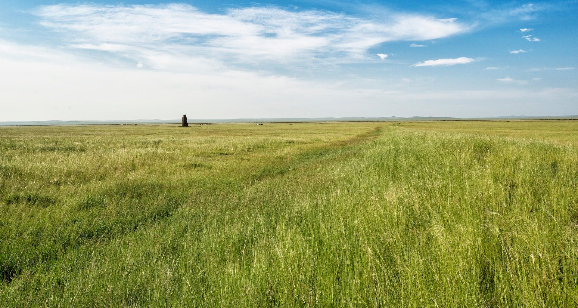 East Mongolian steppe