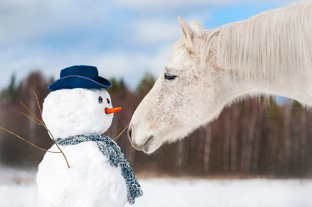 Mongolia winter horse ride