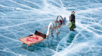 horse sledding in the Khuvsgul Lake