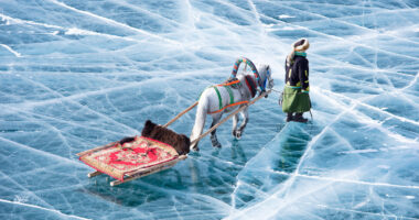 horse sledding in the Khuvsgul Lake